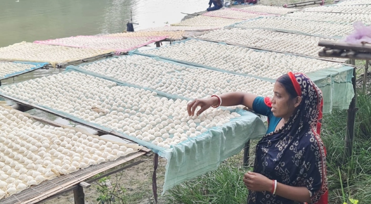 বগুড়ায় কুমড়ো বড়ি তৈরির ধুম, কয়েক কোটি টাকায় বিক্রির সম্ভবনা  